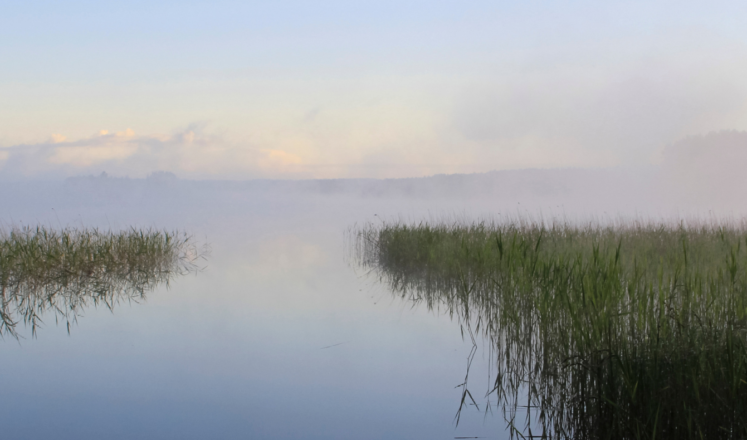 Utuinen järvi kesäiltana.