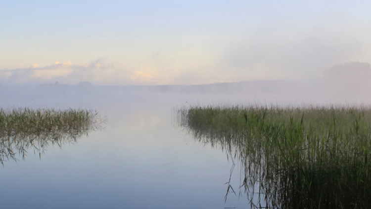 Utuinen järvi kesäiltana.