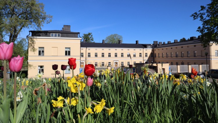 Lapinlahden lähde keväällä